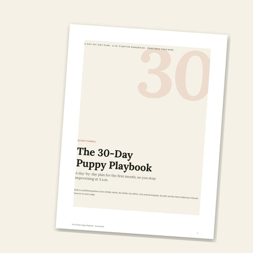 The 30-Day Playbook — Puppy or Rescue Dog (Digital PDF)